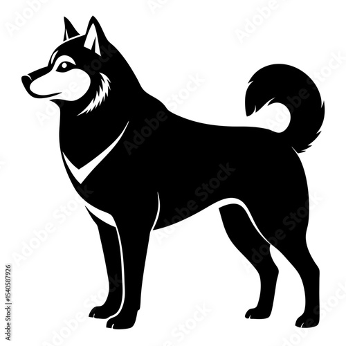 vector illustration of a dog