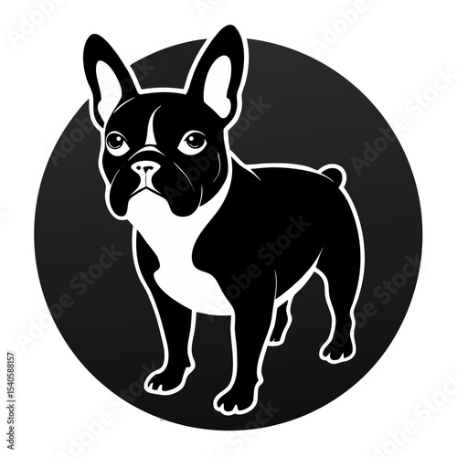 vector illustration of a dog
