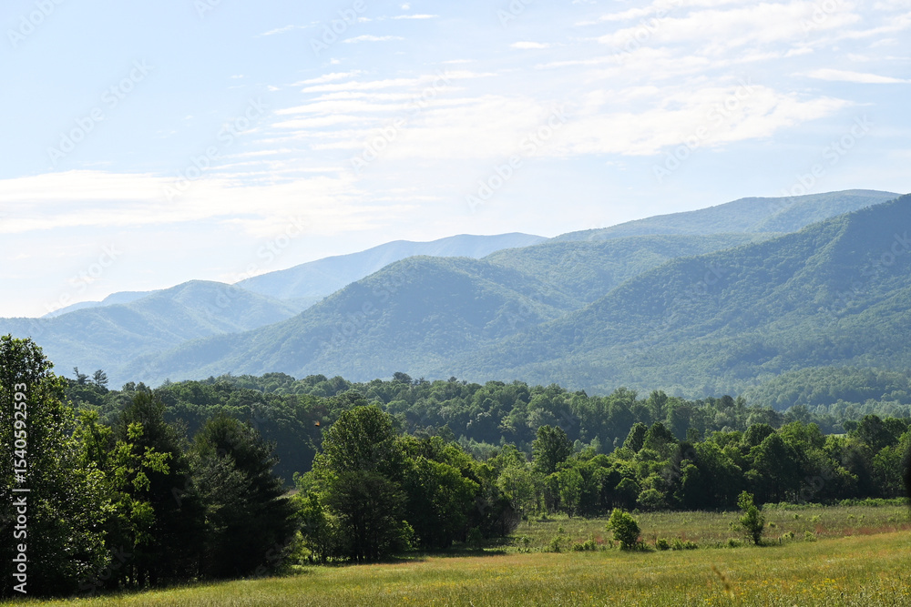 Obraz premium Meadow and Mountains