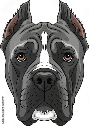 Gray and Brown Pitbull Dog Head Illustration vector