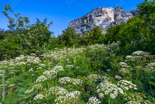 Le printemps dans toute sa splendeur.