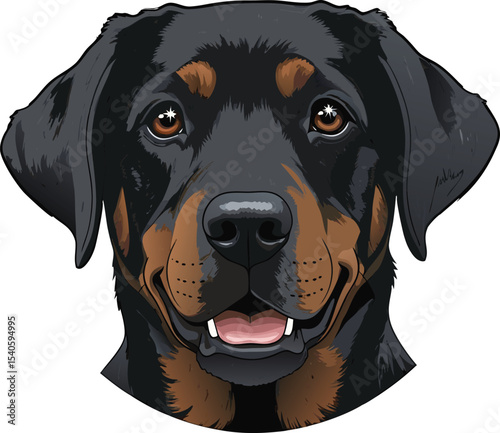 Rottweiler Dog Portrait Black Brown Fur Closeup canine