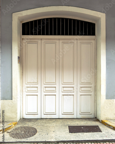 white vintage, wooden door in a stone wall