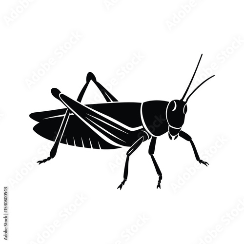 Grasshopper insect silhouette vector art illustration