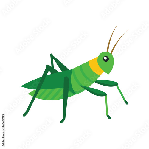 Grasshopper colorful vector art illustration