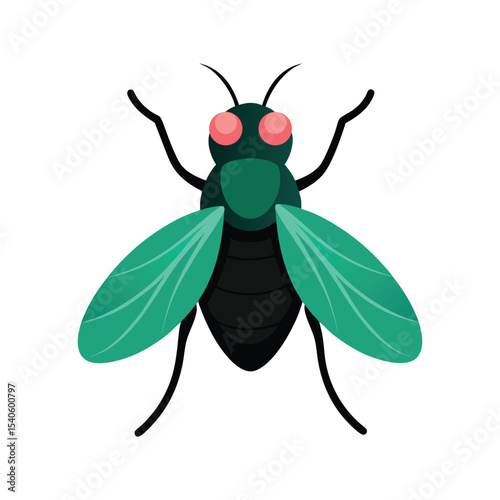 A housefly colorful vector art illustration