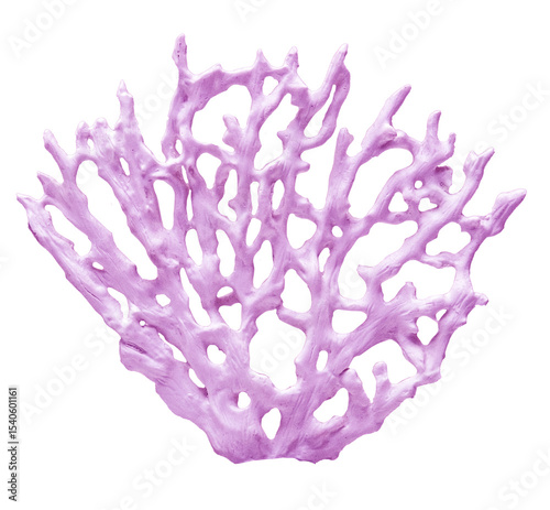 Light purple gorgonian coral on transparent background exhibiting intricate structure