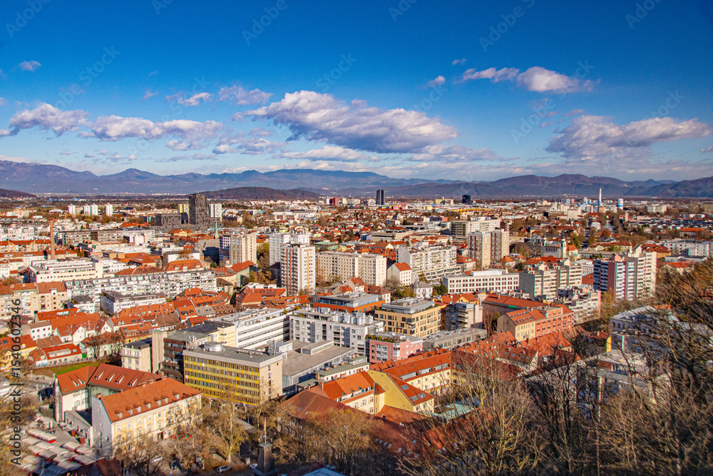 Fototapeta premium aerial view of the city of florence