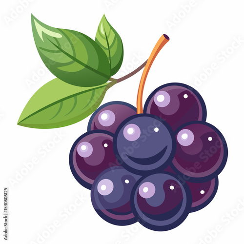 vector illustration of cherries with leaves