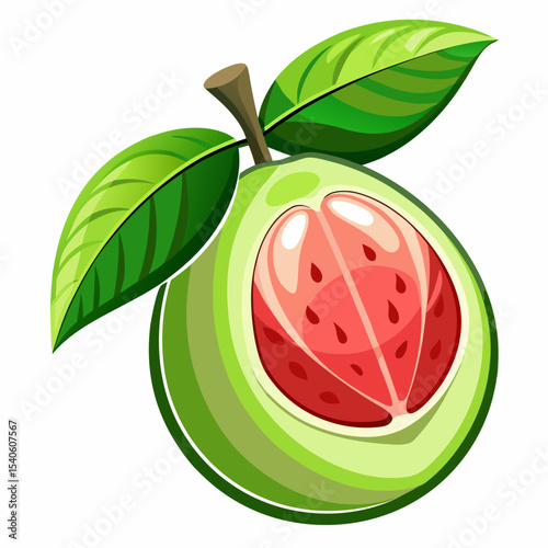 watermelon vector illustration