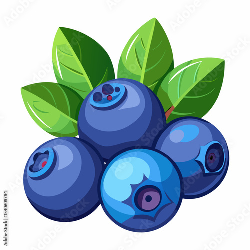 blueberries isolated on white