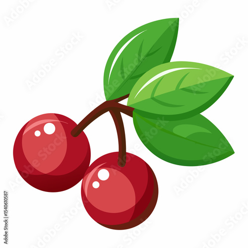 vector illustration of cherries