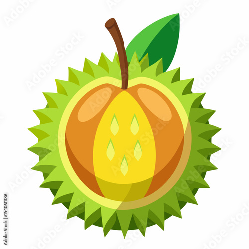 vector illustration of an orange fruit