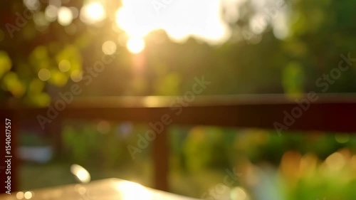 Succulent plant in terracotta pot glistening with dew drops in bright sunlight outdoors on a blurred wooden surface and garden background