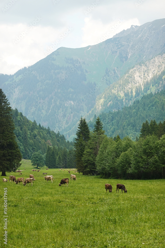 The Hintersteiner valley, Bad Hindelang, Germany The Hintersteiner valley, Bad Hindelang, Germany