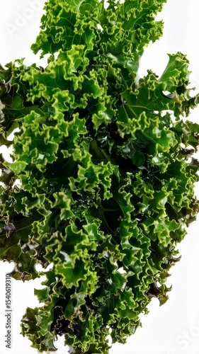 Fresh organic curly kale plant close-up on white background, healthy eating raw vegetable for vegan and vegetarian diet for nutrition