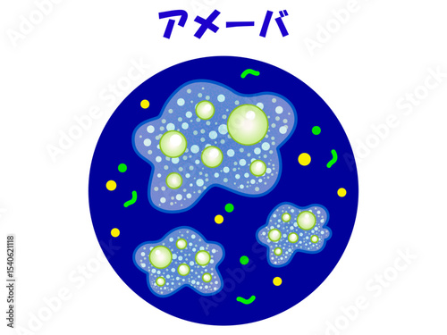 顕微鏡で観察したアメーバのイラスト素材