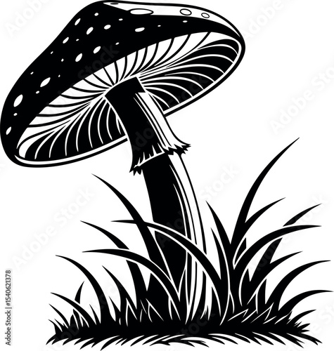 Black and white mushroom illustration with detailed gills and grassy base in woodcut