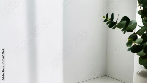 Aesthetic eucalyptus branches with green leaves in a round ceramic vase near a sunlit wall, creating a clean, modern interior space.