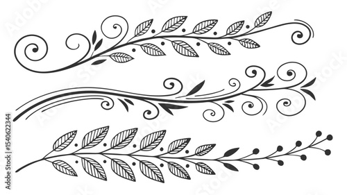 Calligraphic floral design elements with ornate scrolls and vintage decorative borders