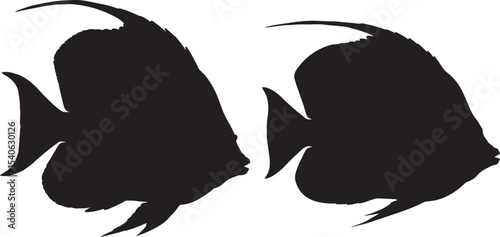 Butterflyfish marine life silhouette vector illustration