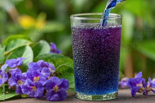 Pouring fresh and vibrant blue pea flower juice into a glass, placed amongst blooming purple flowers on a rustic wooden surface, surrounded by lush greenery.