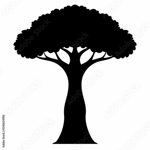 Silhouette of a Tree with a Broad Crown and Thick Trunk