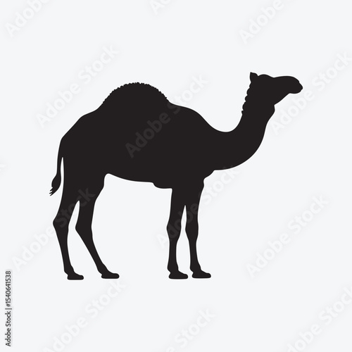 Camel vector silhouette isolated on white background
