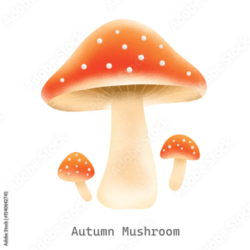 Autumn mushrooms Collections