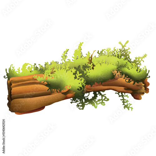 Moss fallen log