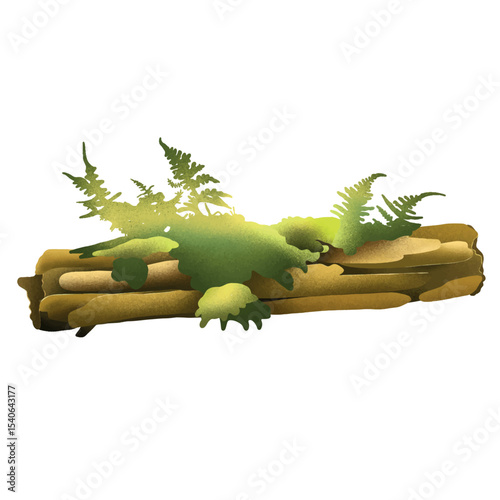 Moss fallen log