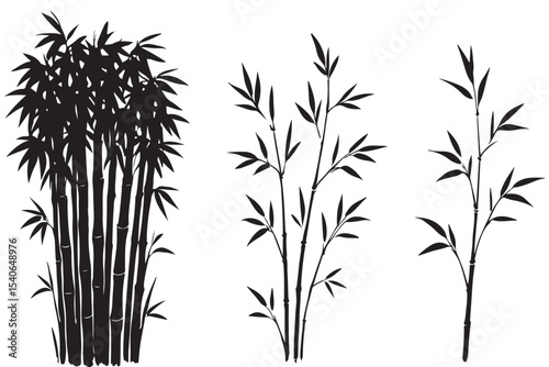 silhouette of bamboo plants on a white background