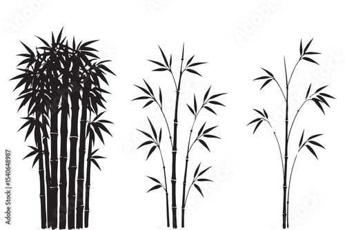 black and white bamboo illustration with leaves and stalks