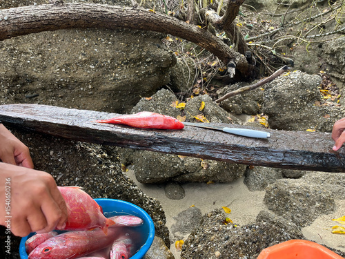Cleaning fish in the sea