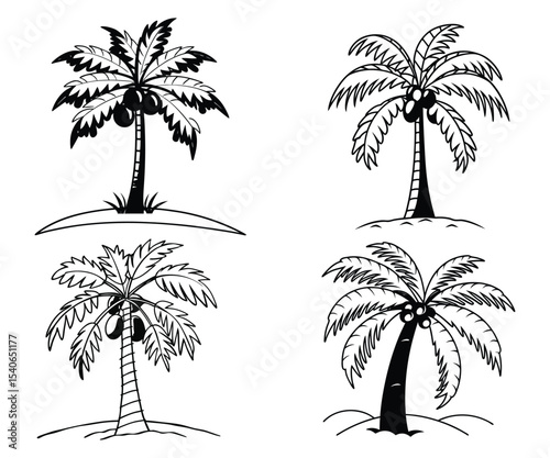 Four palm trees with coconuts isolated on white background