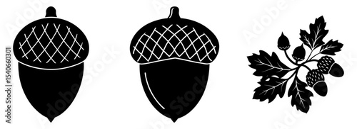 Detailed black and white acorn drawing with leaves and nut illustration silhouette