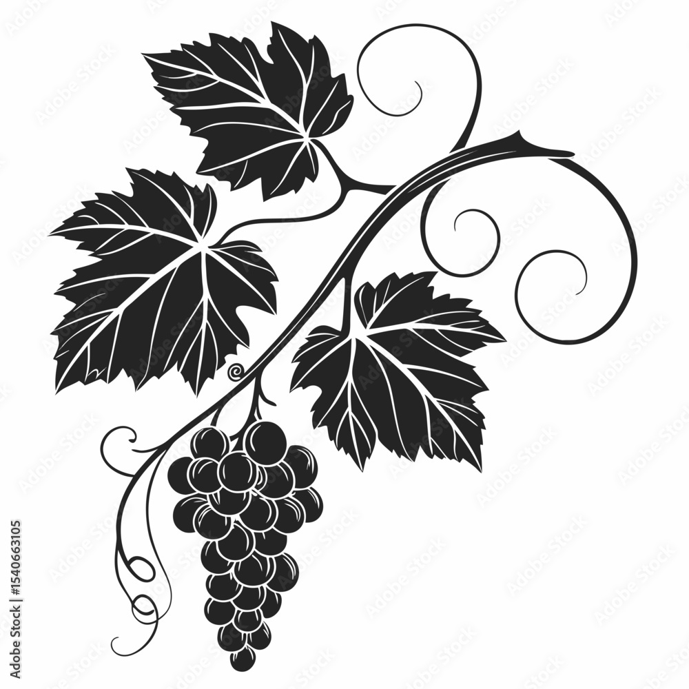 Obraz premium vector illustration of grapes