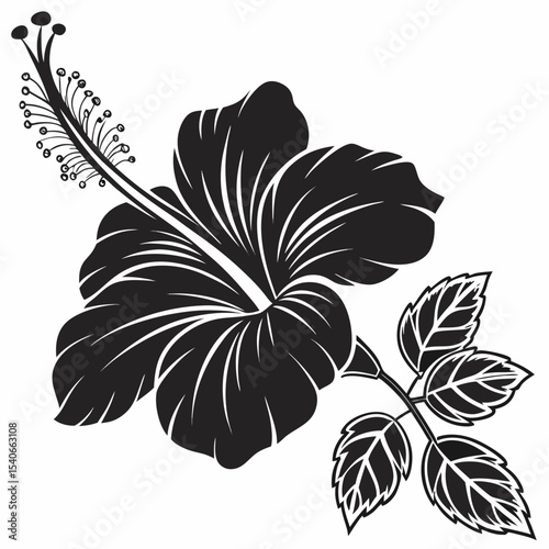 black and white flowers