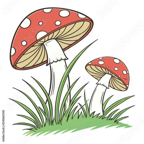 Enchanted Forest A Pair of Red Spotted Mushrooms Emerging from Lush Green Grass