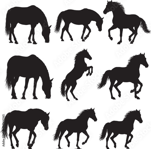 Horse standing still silhouette vector illustration