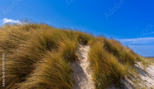 Fototapeta Naklejka Na Ścianę i Meble -  Der Südstrand auf der Insel Hiddensee, Rügen, Mecklenburg-Vorpommern, Deutschland