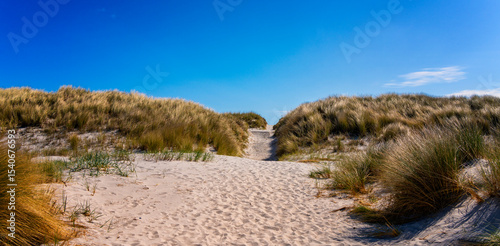 Fototapeta Naklejka Na Ścianę i Meble -  Der Südstrand auf der Insel Hiddensee, Rügen, Mecklenburg-Vorpommern, Deutschland