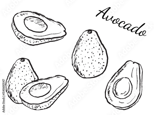 Set with healthy avocado vegetable whole and half sliced in black brush stroke texture isolated on white. Hand drawn vector sketch illustration in vintage charcoal ink. Healthy diet, nutrition, vegan