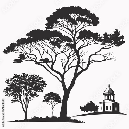 Silhouette of trees and a classical building