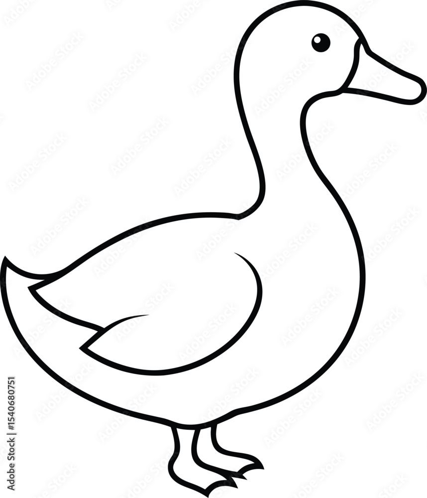 vector illustration of a duck vector illustration of a duck
