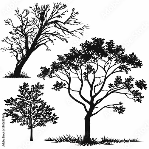 Collection of black tree silhouettes on white