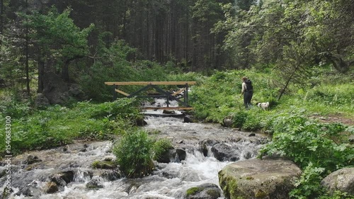 A woman and her dog on a hike cross a mountain river on a bridge in the forest on a sunny summer day
