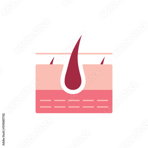 Structure Of The Skin Icon Vector Design.