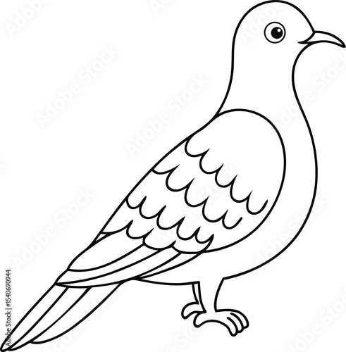 Premium quality Passenger pigeon vector illustration design, Vector of  Passenger pigeon, Modern line art vector art of Passenger pigeon