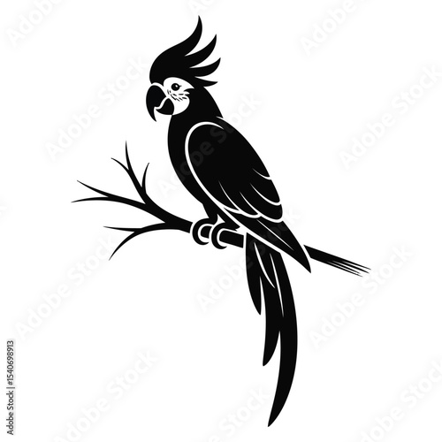 Minimalist black silhouette of a parrot or cockatoo in profile with crest, beak, and tail feathers on white background